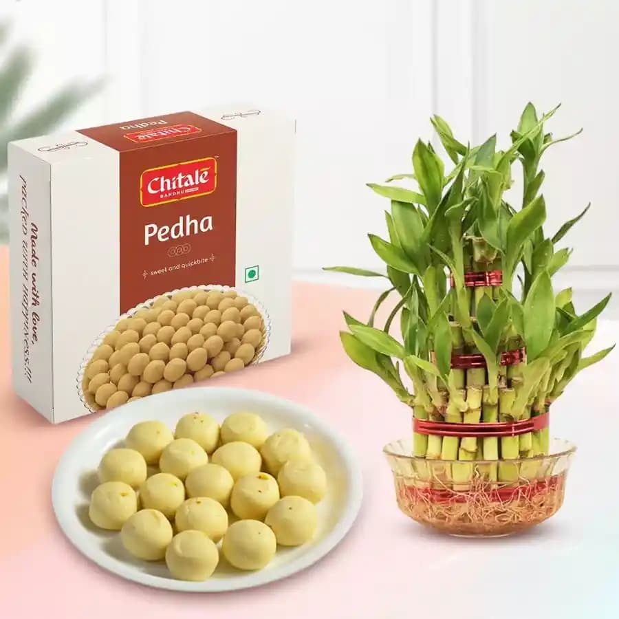 Sakhari Pedha from Chitale Bandhu Mithaiwale with 3 Tier Lucky Bamboo Plant